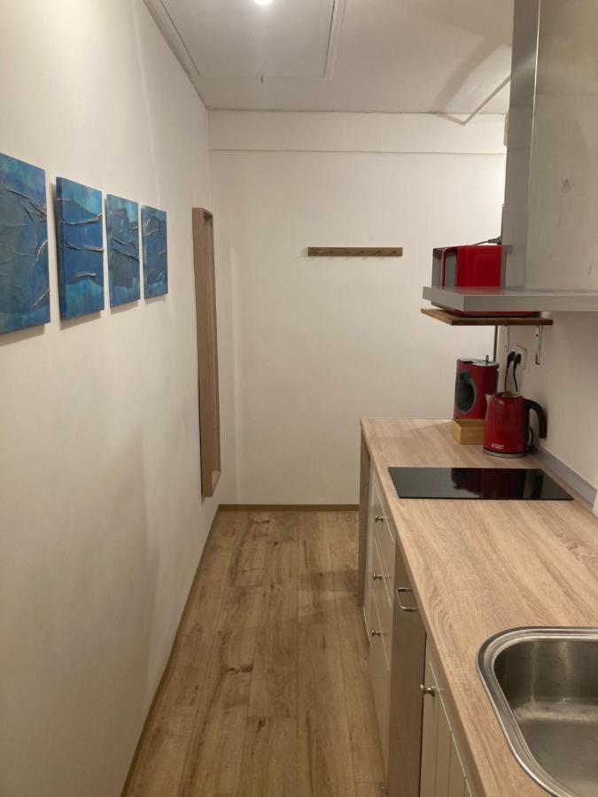 Apartment Jana Masaryka براغ المظهر الخارجي الصورة